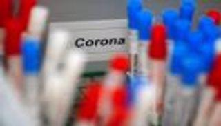 كورونا في ألمانيا.. 253 حالة وفاة والإصابات تتجاوز 42 ألفا