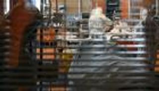 أجهزة التنفس.. هدف واحد لكل مصنعي العالم في زمن كورونا