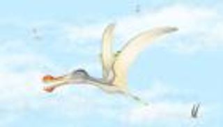 اكتشاف 3 أنواع من الزواحف الطائرة عمرها 100 مليون عام