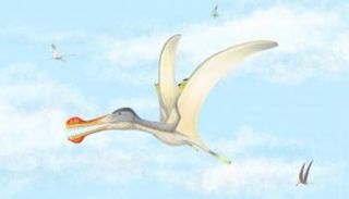 التيروصورات الأفريقية كانت مشابهة تماما لتلك التي عثر عليها في قارات أخرى