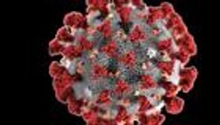 فيروس كورونا الجديد أكثر خطرا على مرضى القلب