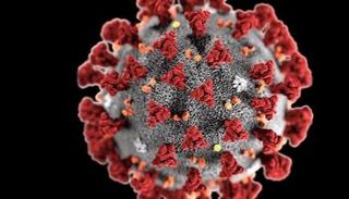 فيروس (كوفيد - 19 )