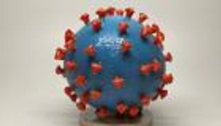 حرب كورونا.. مخابرات فلسطين وإسرائيل في مهمة "سرية"