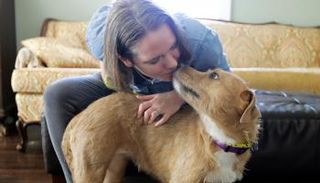 فيروس كورونا يرفع معدلات اقتناء الحيوانات الأليفة بأمريكا