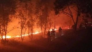 الحريق اندلع في إقليم سيتشوان الجبلي