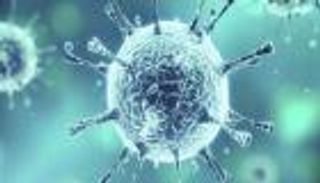 الجراد وكورونا.. آفات تبعثر أولويات القرن الأفريقي