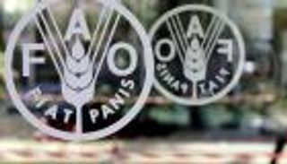 انخفاض حاد في أسعار الغذاء بضغط من كورونا