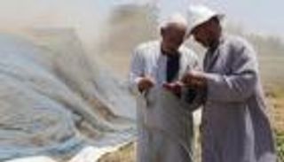 مصر تكشف حجم مخزوناتها الاستراتيجية من السلع الغذائية