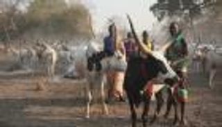 17 قتيلا باشتباكات لسرقة ماشية في جنوب السودان