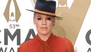 المغنية الأمريكية بينك