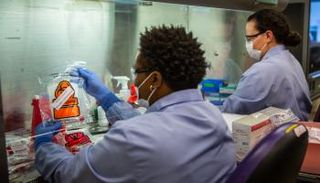 أطباء يفحصون عينات دماء