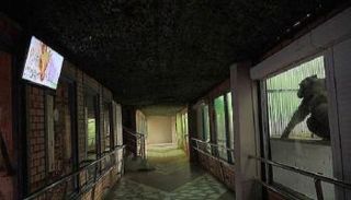 شمبانزي يشاهد أحد أفلام الكرتون