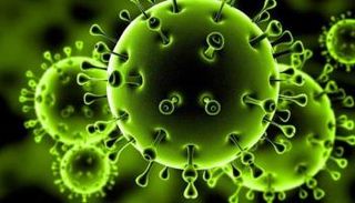 فيروس كورونا 