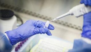 تجارب معملية - أرشيفية