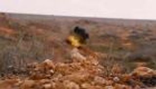 "داعش" يدعو عناصره لاستغلال كورونا وتنفيذ عمليات إرهابية