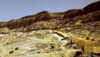 كورونا الجديد