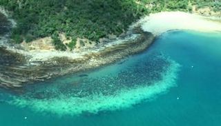 الحاجز المرجاني الكبير