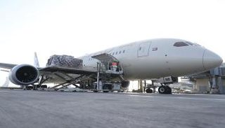 جانب من المساعدات الإماراتية لأوكرانيا