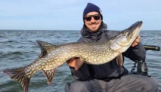 زلاتان إبراهيموفيتش مهاجم ميلان