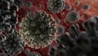 كورونا في 100 يوم.. تسلسل زمني للجائحة 