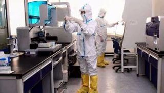 الغرض من الدراسة هو تحديد نوع الفيروس البدائي