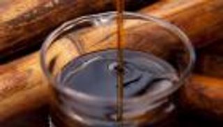 العسل الأسود وأهميته لمقاومة الأمراض والفيروسات