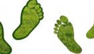 دراسة تكشف علاقة غريبة بين الأبناء وانبعاثات الكربون