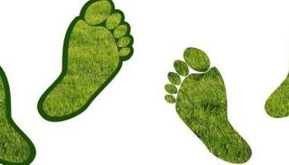 بصمة المساهمة في الحفاظ على البيئة تقل عند الآباء مقارنة بغيرهم 