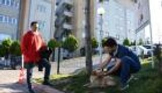 "وفاء كلب".. ينتظر صاحبه المريض أمام المستشفى منذ 5 أيام‎