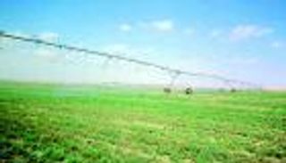 الإمارات نموذج فريد لسلة غذاء آمنة.. أبوظبي تنتج 122.5 ألف طن من الخضراوات