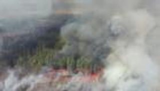 حرائق جديدة قرب تشيرنوبل بأوكرانيا.. والرياح تعرقل إخمادها