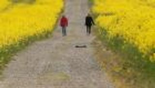 847 وفاة جديدة بفيروس كورونا في بريطانيا