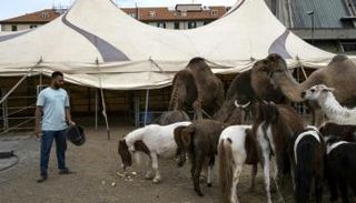 كورونا يحبس سيركا إيطاليا في موقف للسيارات