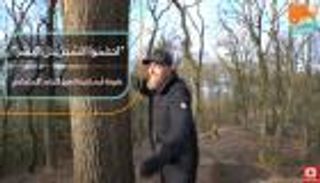 "احضنوا الشجر".. طريقة أيسلندية لتعزيز التباعد الاجتماعي