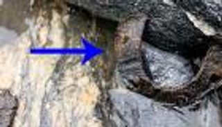 ذوبان جليد النرويج يكشف كنزا عمره آلاف السنين