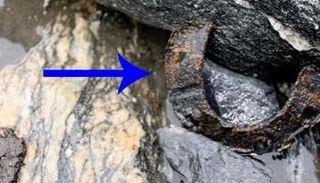 حدوة حصان تم العثور عليها 