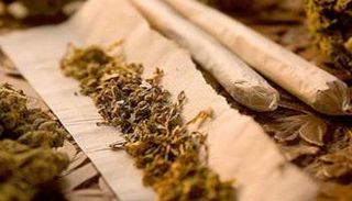 الماريجوانا - أرشيفية