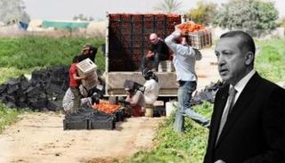 قرارات نظام أردوغان تؤثر سلبا على الاقتصاد التركي