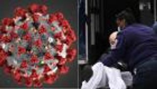 كورونا يتطور إلى 30 سلالة أشدها فتكا في أوروبا ونيويورك