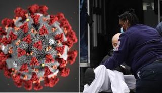 سلالة كورونا الأشد فتكا انتشرت في نيويورك