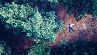 زيادة الأشجار أحد الحلول لمواجهة التغيرات المناخية