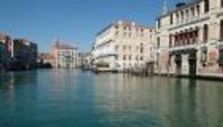 قنديل البحر يظهر في "البندقية الهادئة" بفضل كورونا