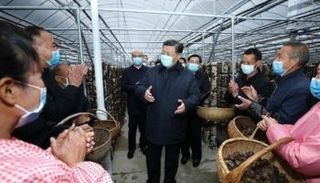 الرئيس الصيني يتفقد مقاطعة شنشي شمال غربي البلاد