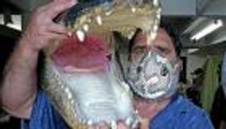 أزياء ووقاية.. كمامات كورونا من جلود الثعابين والتماسيح