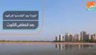 كورونا يعيد "الفلامنجو" إلى الهند