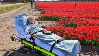 مريضة تلقي نظرة أخيرة على حقل الزهور 