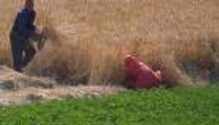 كورونا يغير الخطط.. مصر تخفض توقعات نمو اقتصادها إلى 2% 