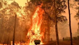 حرائق الغابات في أستراليا