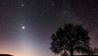 كوكب الزهرة في سماء المساء