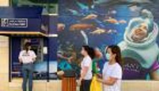 الإمارات: 33 ألف فحص تكشف عن 502 إصابة بفيروس كورونا